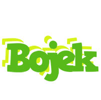 Bojek picnic logo