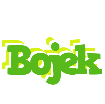 Bojek picnic logo
