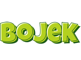Bojek summer logo