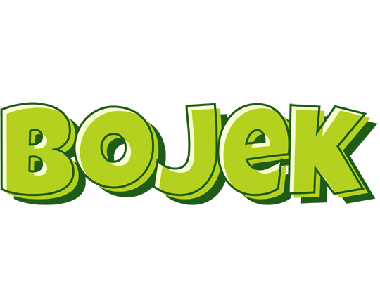 Bojek summer logo