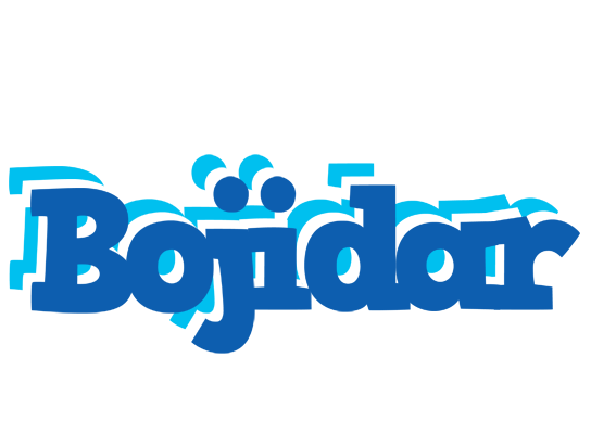Bojidar business logo