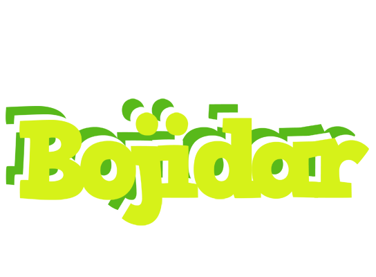 Bojidar citrus logo