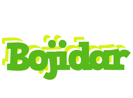 Bojidar picnic logo