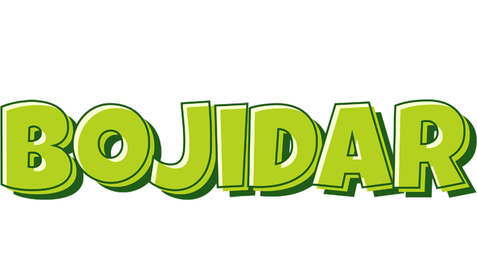 Bojidar summer logo