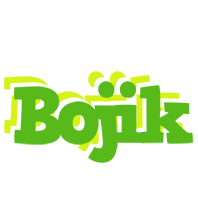 Bojik picnic logo