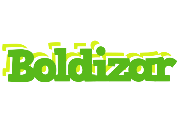 Boldizar picnic logo