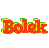 Bolek bbq logo