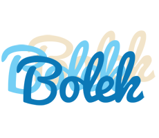 Bolek breeze logo