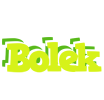 Bolek citrus logo