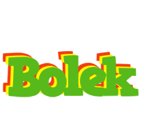 Bolek crocodile logo