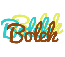 Bolek cupcake logo