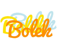 Bolek energy logo