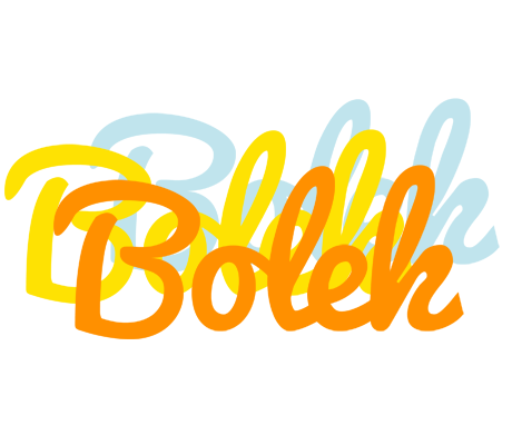 Bolek energy logo