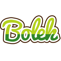 Bolek golfing logo