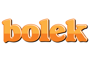 Bolek orange logo