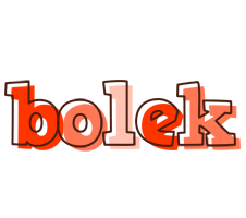 Bolek paint logo