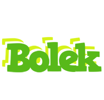 Bolek picnic logo