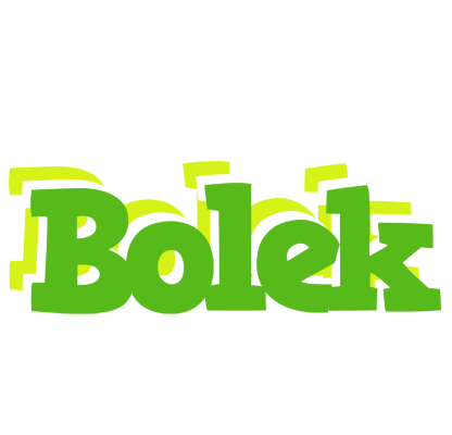 Bolek picnic logo