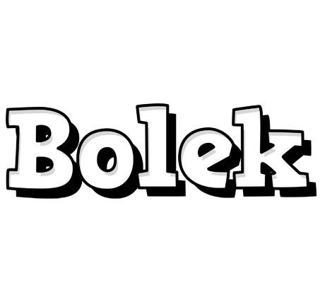 Bolek snowing logo