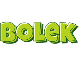 Bolek summer logo