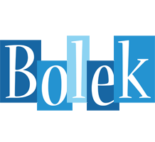 Bolek winter logo