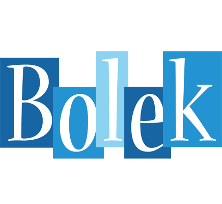 Bolek winter logo