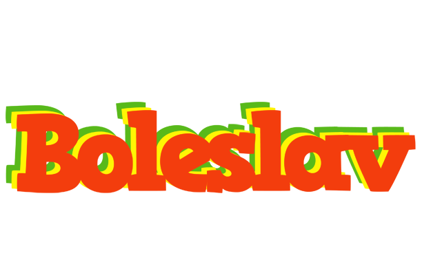 Boleslav bbq logo
