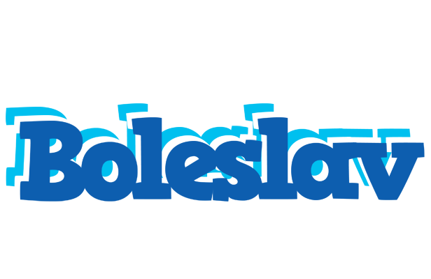 Boleslav business logo