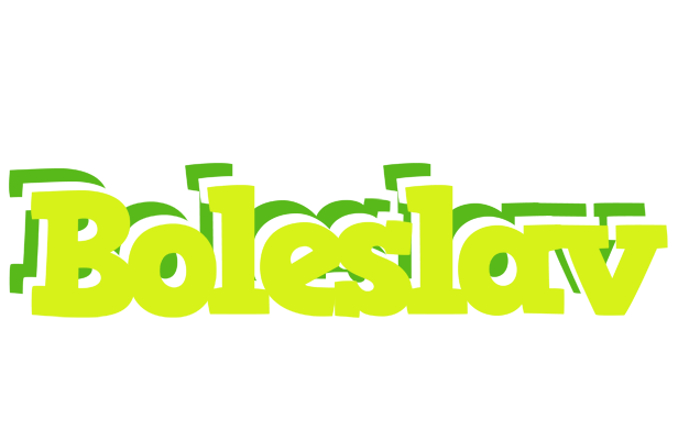 Boleslav citrus logo
