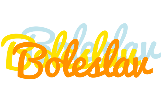 Boleslav energy logo