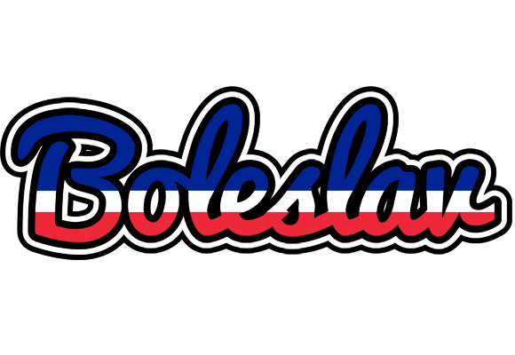 Boleslav france logo