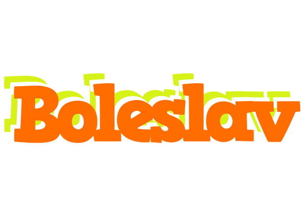 Boleslav healthy logo