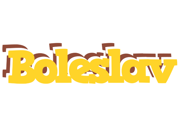 Boleslav hotcup logo