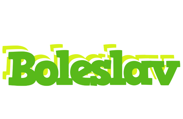 Boleslav picnic logo