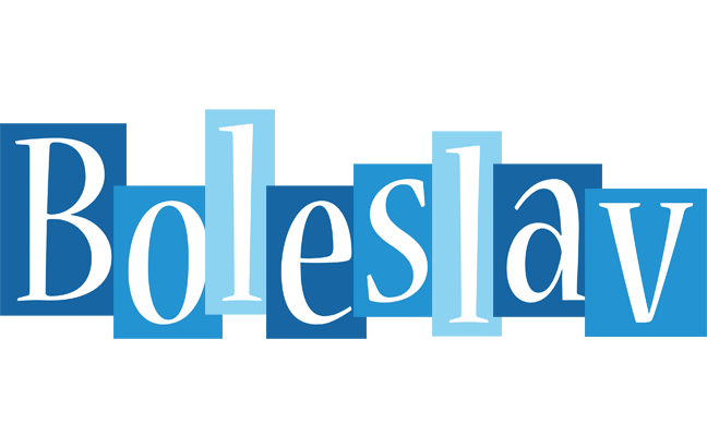 Boleslav winter logo