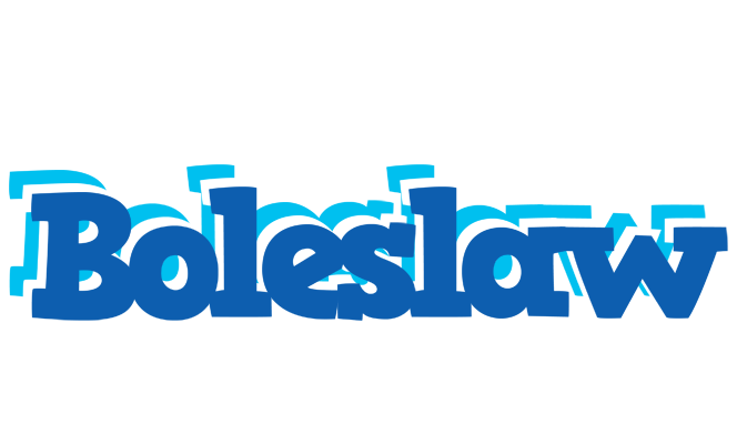 Boleslaw business logo