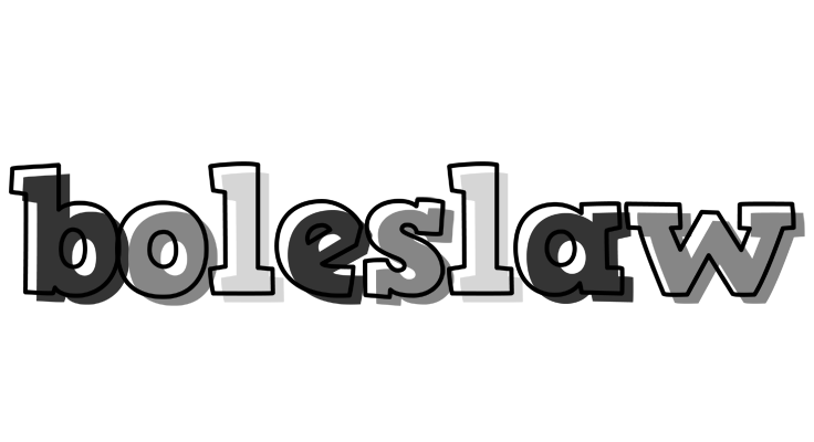 Boleslaw night logo
