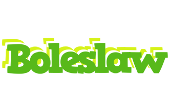 Boleslaw picnic logo