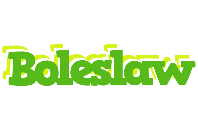 Boleslaw picnic logo