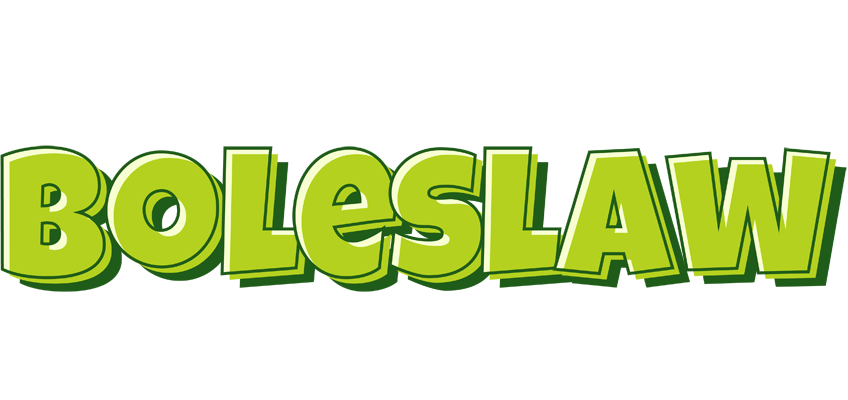 Boleslaw summer logo
