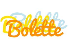 Bolette energy logo