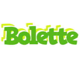 Bolette picnic logo