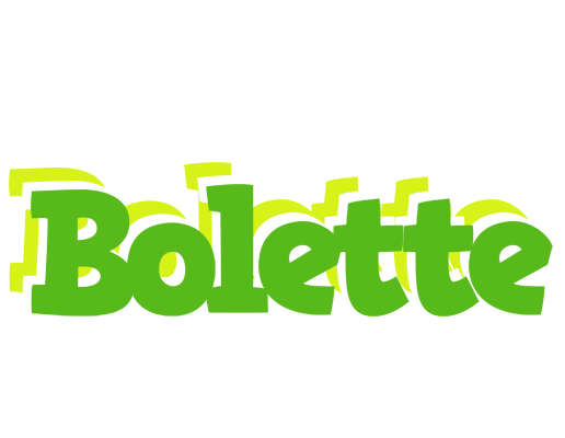 Bolette picnic logo