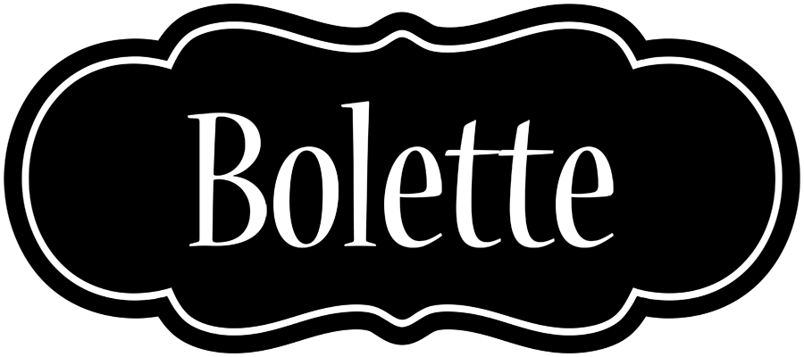 Bolette welcome logo