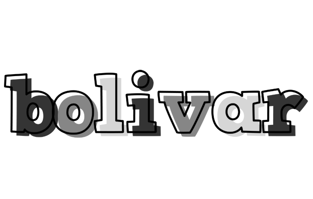 Bolivar night logo
