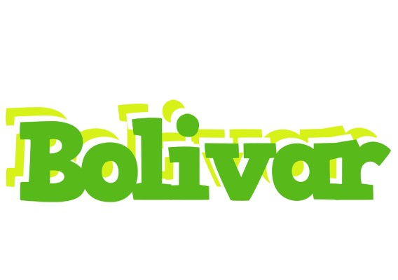 Bolivar picnic logo