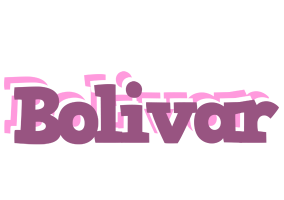 Bolivar relaxing logo