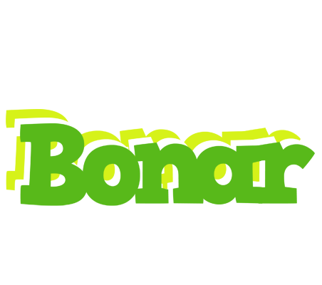 Bonar picnic logo