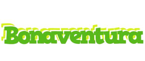 Bonaventura picnic logo