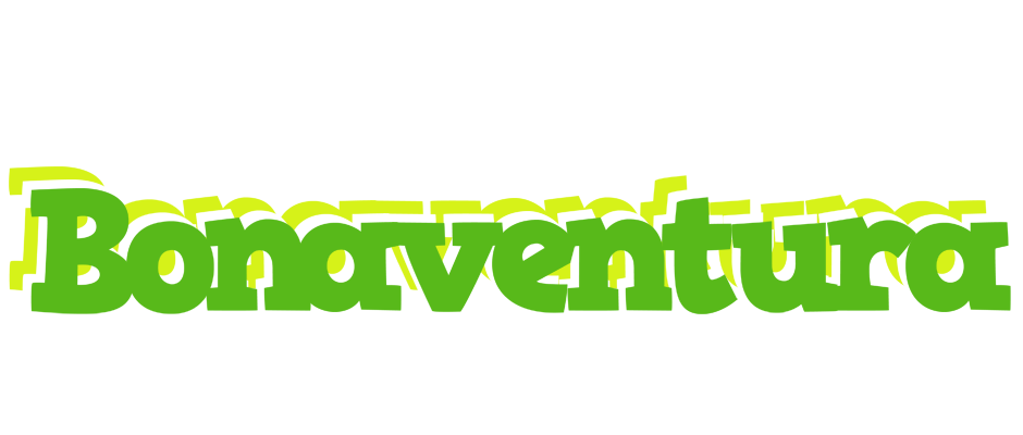 Bonaventura picnic logo
